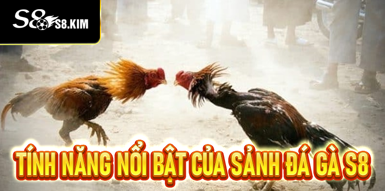 Sảnh Đá Gà S8 Cá Cược Linh Hoạt, Xem Phát Trực Tiếp Đỉnh Cao